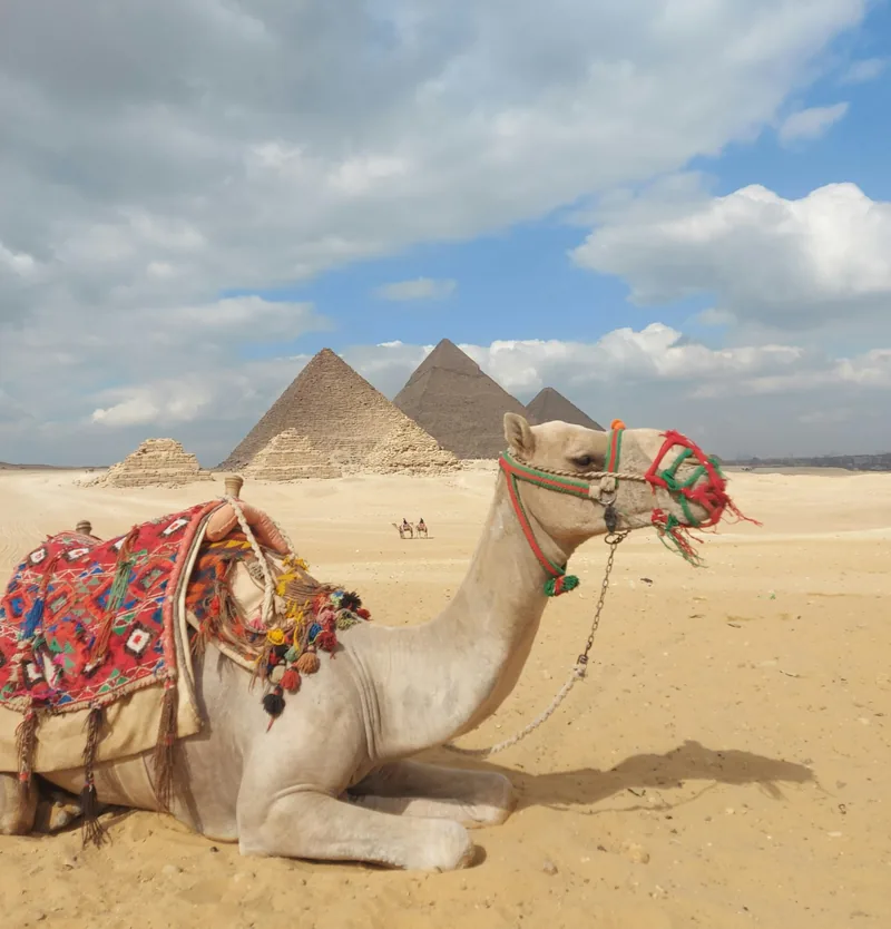 Giza Plateau Sacred Geometry & Chakra Alignment